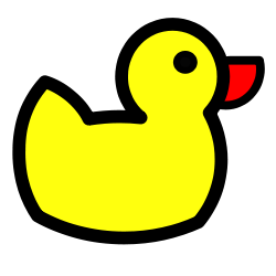 www.duckdns.org